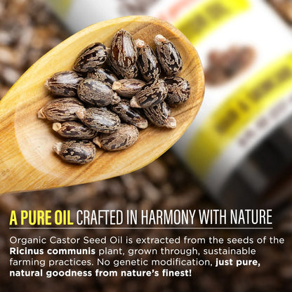 Organic Castor Oil – 8 oz