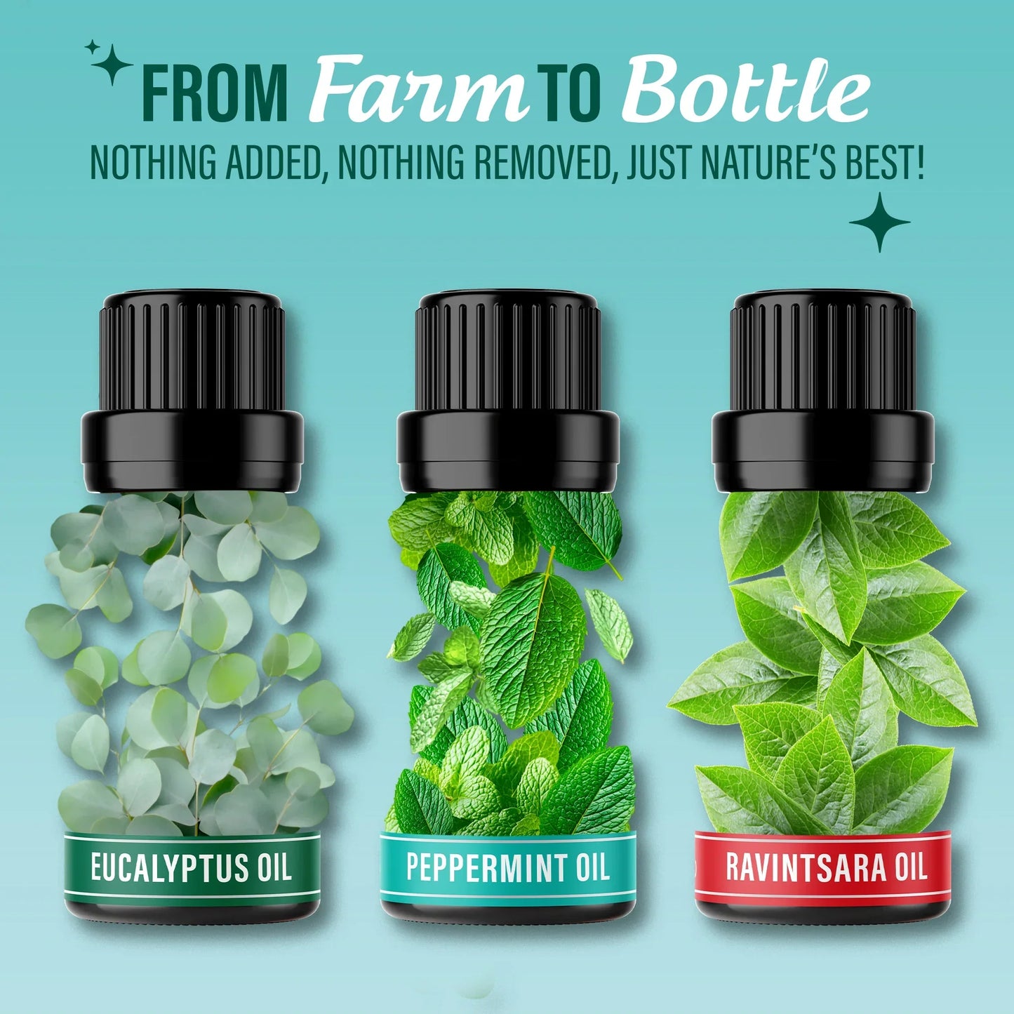 Breathe Essential Oil, 10 mL – 3-Pack