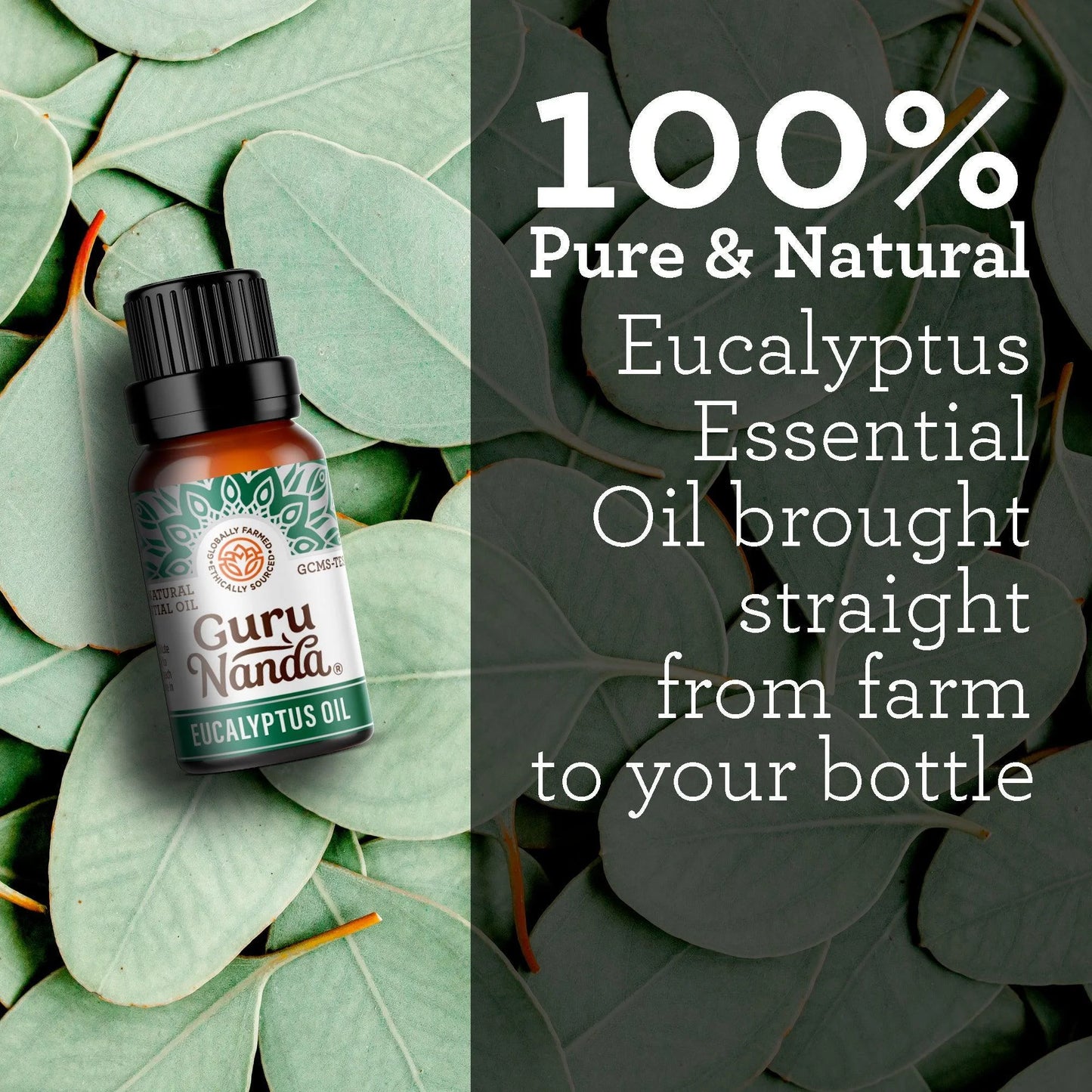 Eucalyptus Essential Oil, 15 ML – 2-Pack